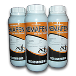 Fenostar